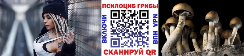 Галлюциногенные грибы MAGIC MUSHROOMS  Богородск 